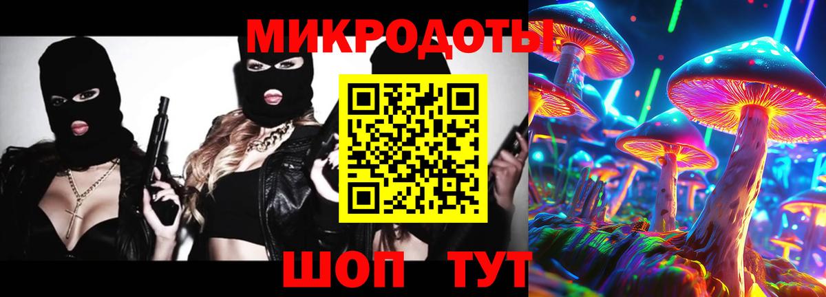 Тайшет  Псилоцибиновые грибы ЛСД  Вход с VPN 