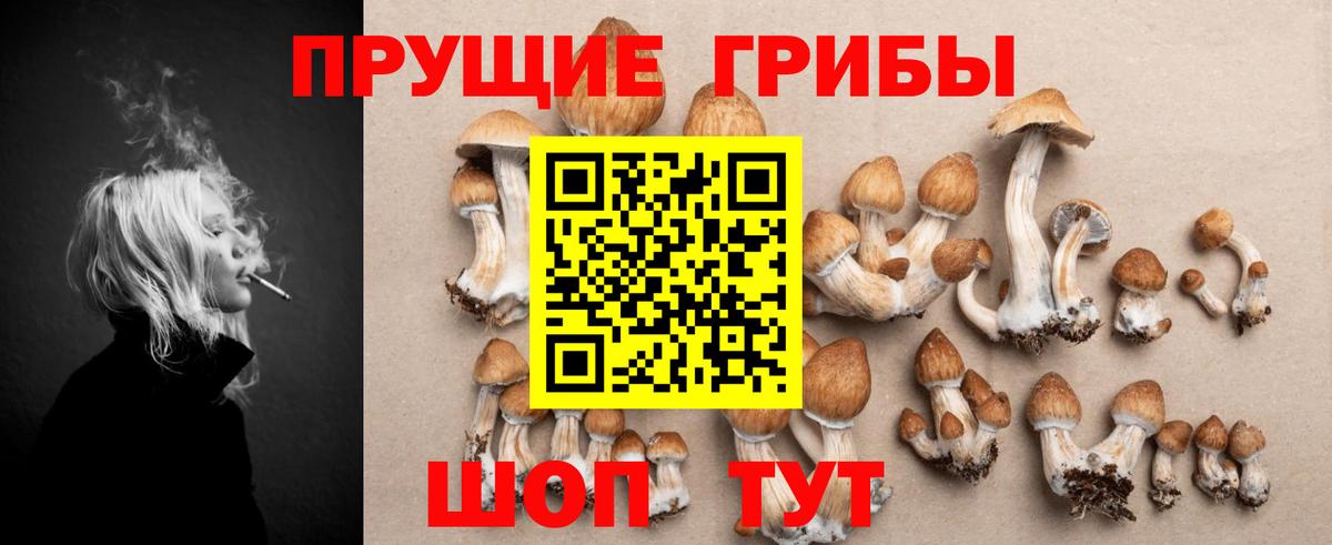 Псилоцибиновые грибы прущие грибы Тайшет